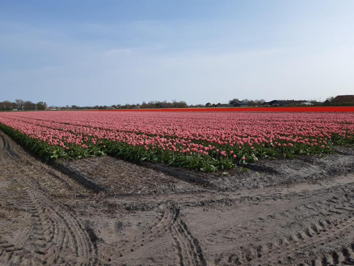 브리잔드 Groot Familiehuis Voor 6 Personen In Landelijke, Rustige Omgeving 빌라 외부 사진